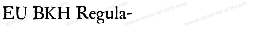 EU BKH Regula字体转换